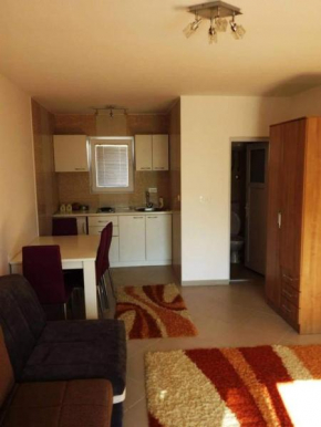 Apartmani La Vi